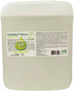 Телесфор Форте — изображение 2